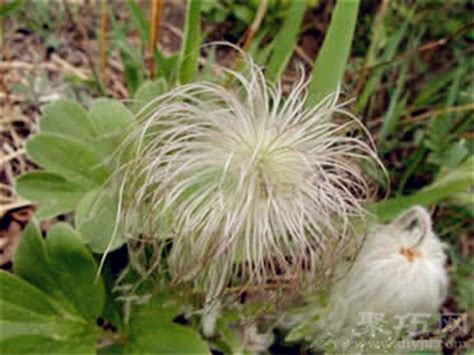 4月7日生日